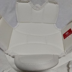 空手防具　Mizuno  胴プロテクターの画像