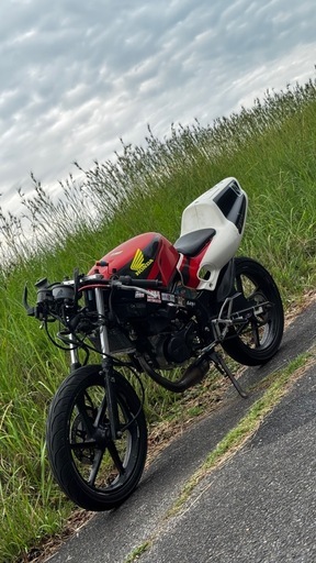 ns1 即膝63cc白ナンバー腰下フルOH (るるーしゅ) 日進のホンダの中古