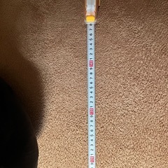 ミッキーマウスデカぬいぐるみ
の画像