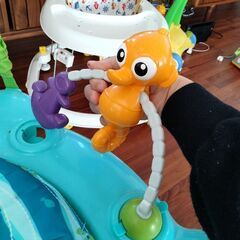 バウンサーの画像