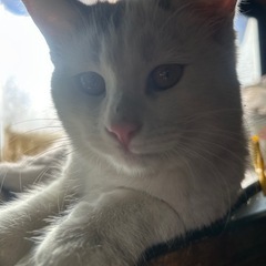 生後4か月の男の子。