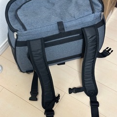 ファンタジーワールド FANTASY WORLD スイートハート リュックタイプ ペットカート L デニムの画像