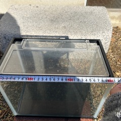 水槽二つと網の画像