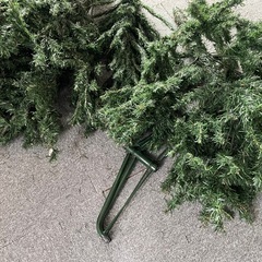 クリスマスツリーの画像