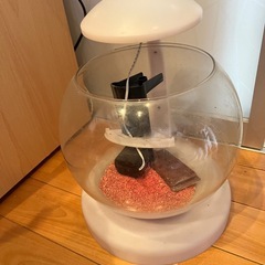 金魚鉢？の画像