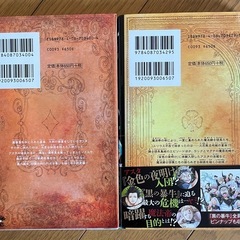 ブラッククローバー 小説 暴牛の書・騎士団の書の画像
