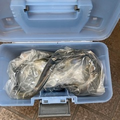 スノーレスキュースタンダートの画像