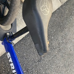 変身バイクスポーツデポ限定色とストライダーの画像