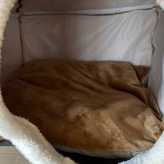 ワンコ　ハウス　家の画像