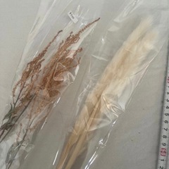 ドライフラワー　tidaフラワーの画像