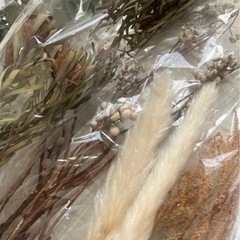 ドライフラワー　tidaフラワーの画像