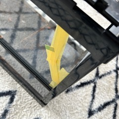 爬虫類ケースの画像