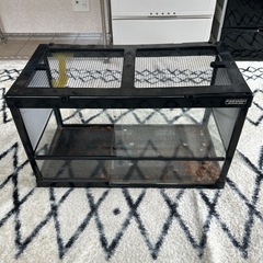 爬虫類ケースの画像