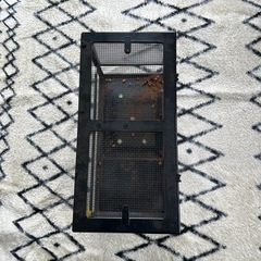 爬虫類ケースの画像