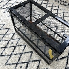 爬虫類ケースの画像