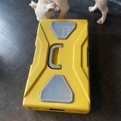 ペット用折りたたみキャリーケース　小型犬の画像