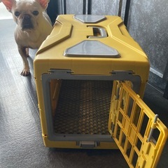 ペット用折りたたみキャリーケース　小型犬の画像