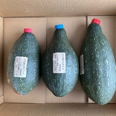 万次郎かぼちゃ　3個　かぼちゃ　カボチャ　南瓜　300円 2512271の画像