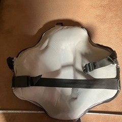 マーシャルワールドチェストミット
の画像