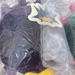 ポケモン ポケットモンスター アチャモ、ナマコブシ、バチンウニの画像