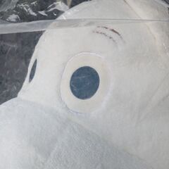 ほあほあ　ムーミン　ぬいぐるみ　2Lの画像