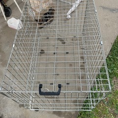 ペットケージの画像