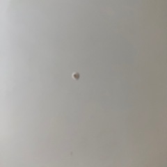 こたつ　　の画像