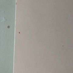 こたつ　　の画像