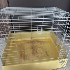 小動物ゲージの画像