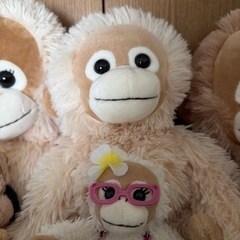 なかよ仲良しオラウンター3匹一緒にの画像