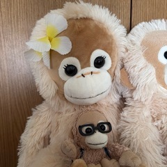 なかよ仲良しオラウンター3匹一緒にの画像