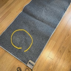 【調整中】モリタ　ホットカーペット　一畳の画像
