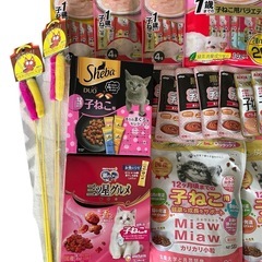 子猫用フードの画像