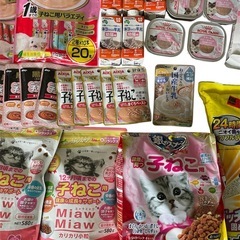 子猫用フードの画像