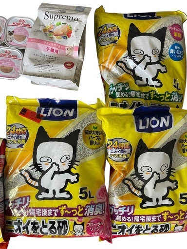 子猫用フード