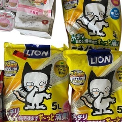 子猫用フードの画像