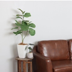 フェイクグリーンの画像