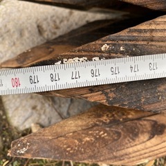 ガーデニング用　杭　５本セットの画像