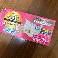 小さめマスク　29枚の画像