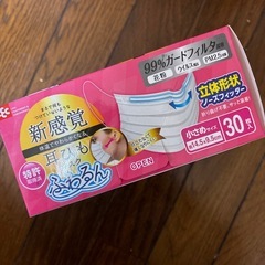 小さめマスク　29枚の画像