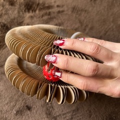 猫　おもちゃの画像