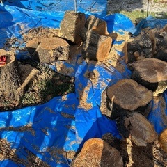 原木 丸太 玉切り 薪 薪ストーブ 焚き火　神奈川　東京の画像