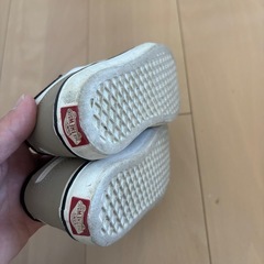 VANSスニーカーの画像