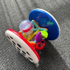 年明け処分予定　sassy ころころてんとう虫の画像