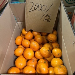 🎵1/10更新🎵 の画像