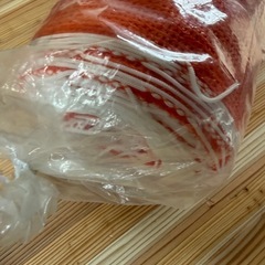 オレンジフェンスネットの画像