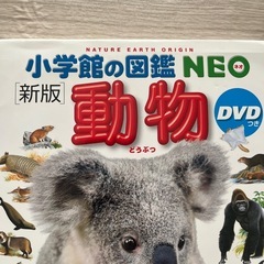 図鑑　クリスマス　プレゼント　子供　絵本　教育　学習　勉強　　動物　アニマルの画像