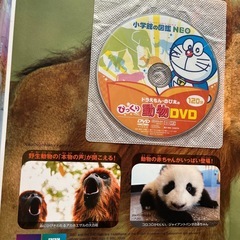 図鑑　クリスマス　プレゼント　子供　絵本　教育　学習　勉強　　動物　アニマルの画像