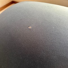 Yogibo クッション　ソファー　黒色の画像