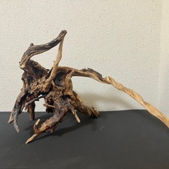 アクアリウム用流木の画像